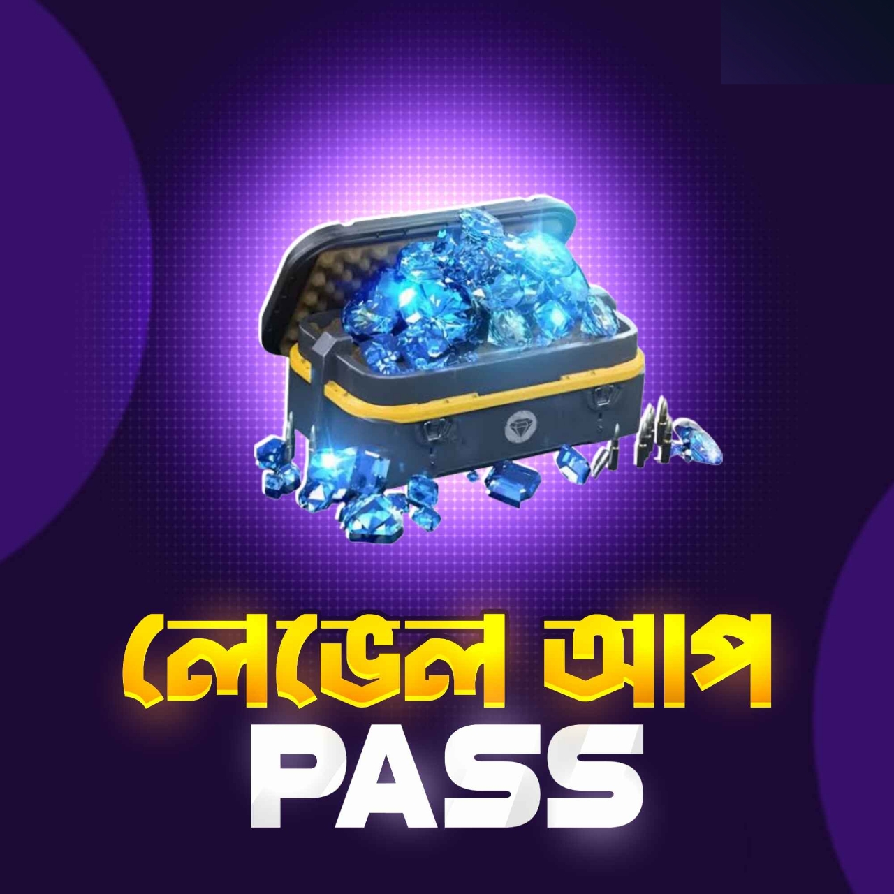 LEVEL UP PASS (BD)